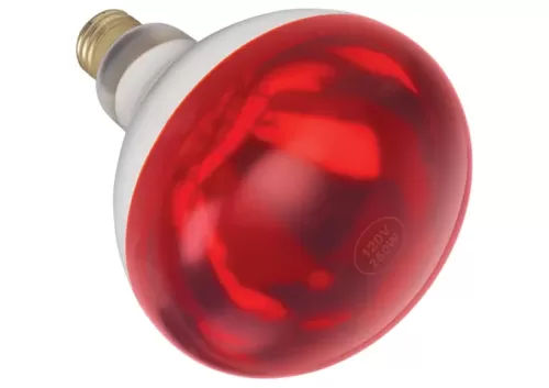 Red Heat Lamp Bulb